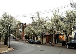 Point Breeze Light Up Night